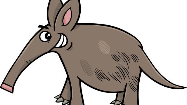 s_aardvark-1 Wissenswertes Afrikaans - Spracheninstitut Universität Leipzig