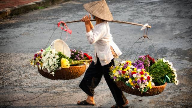 s_blumenverka--uferin Wissenswertes Vietnamesisch - Spracheninstitut Universität Leipzig
