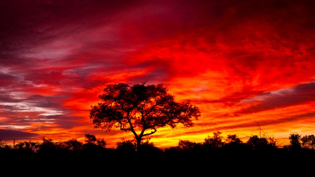s_sonnenuntergang Wissenswertes Afrikaans - Spracheninstitut Universität Leipzig