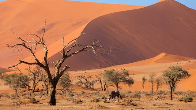 s_sossusvlei-1 Wissenswertes Afrikaans - Spracheninstitut Universität Leipzig