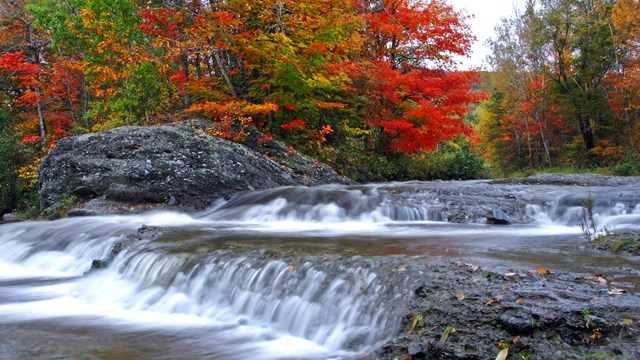Kleiner Wasserfall mit buntem Herbstlaub im Hintergrund