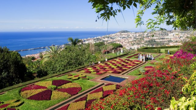 s_fld182_botanischer-garten Portugiesisch - Funchal – Spracheninstitut Universität Leipzig