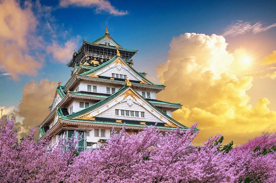 s_fld182_burg_osaka-2 Japanisch - Im Porträt – Spracheninstitut Universität Leipzig