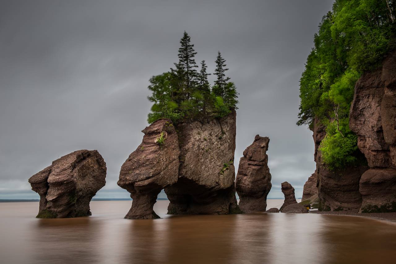 Felsformationen in der Bay of Fundy bei Ebbe