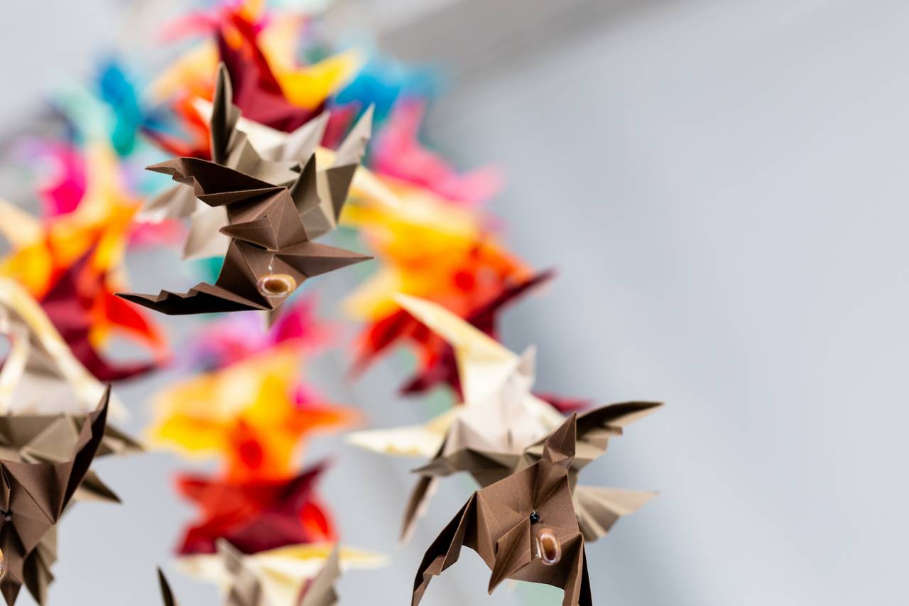 m_fld15_origami Wissenswertes Japanisch - Spracheninstitut Universität Leipzig